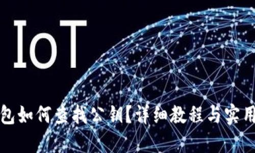 TP钱包如何查找公钥？详细教程与实用指南