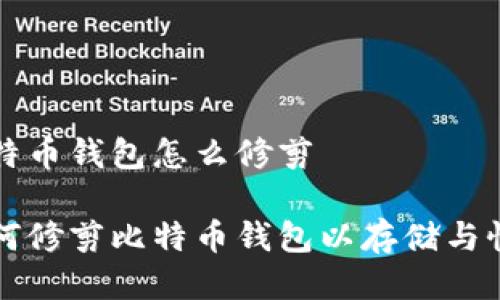 比特币钱包怎么修剪

如何修剪比特币钱包以存储与性能