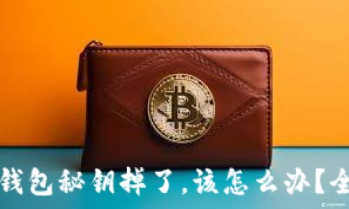 虚拟币钱包秘钥掉了,该怎么办?全面指南