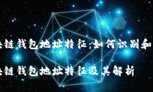区块链钱包地址特征：如何识别和理解

区块链钱包地址特征及其解析