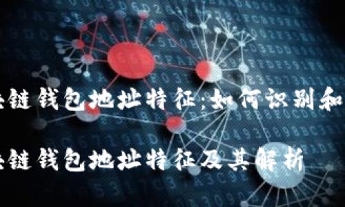 区块链钱包地址特征：如何识别和理解

区块链钱包地址特征及其解析