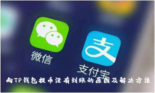向TP钱包提币没有到账的原因及解决方法