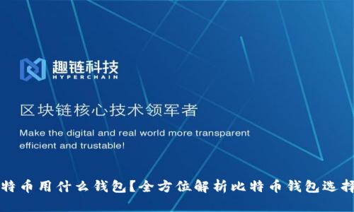 提比特币用什么钱包？全方位解析比特币钱包选择指南