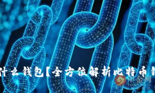 提比特币用什么钱包？全方位解析比特币钱包选择指南