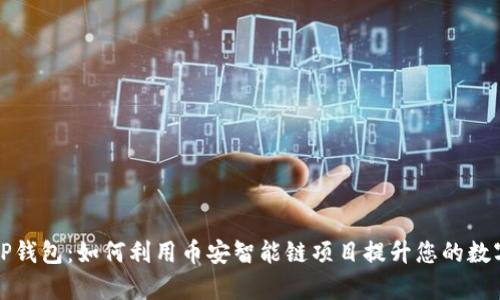 深入解析TP钱包：如何利用币安智能链项目提升您的数字资产管理