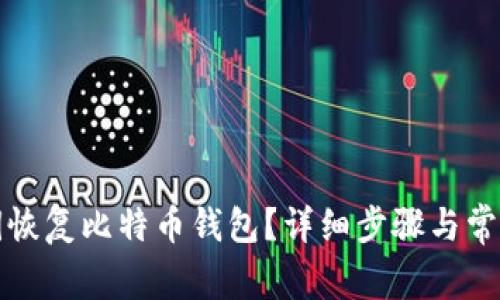 如何用私钥恢复比特币钱包？详细步骤与常见问题解答