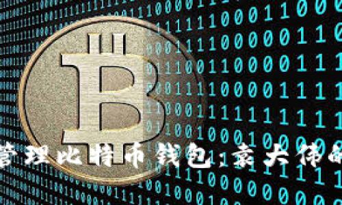 如何安全管理比特币钱包：袁大伟的实用建议