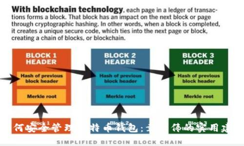 如何安全管理比特币钱包：袁大伟的实用建议