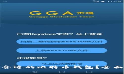 : 如何选择合适的比特币钱包？全面解析与推荐