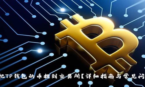  如何把TP钱包的币提到交易所？详细指南与常见问题解答