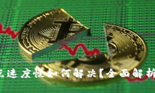  TP钱包节点速度慢如何解决？全面解析与解决方案