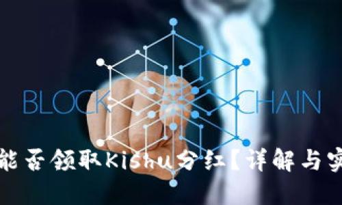 TP钱包能否领取Kishu分红？详解与实操指南