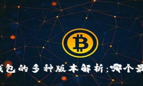 比特币钱包的多种版本解析：哪个最适合你？