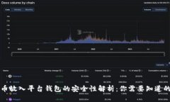 虚拟币放入平台钱包的安全性解析：你需要知道
